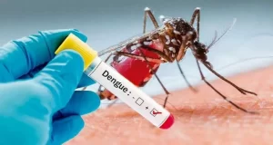 Alerta por el aumento de casos de dengue en Norte de Santander alerta por aumento de casos de dengue en Norte de Santander