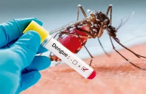 Alerta por el aumento de casos de dengue en Norte de Santander alerta por aumento de casos de dengue en Norte de Santander