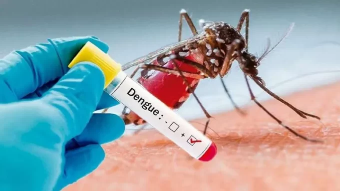 Alerta por el aumento de casos de dengue en Norte de Santander alerta por aumento de casos de dengue en Norte de Santander