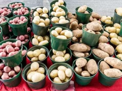 Alimentos podrían aumentar de precio debido al cierre de la vía al Llano Alimentos podrían aumentar de precio debido al cierre de la vía al Llano