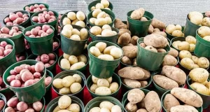 Alimentos podrían aumentar de precio debido al cierre de la vía al Llano Alimentos podrían aumentar de precio debido al cierre de la vía al Llano