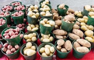 Alimentos podrían aumentar de precio debido al cierre de la vía al Llano Alimentos podrían aumentar de precio debido al cierre de la vía al Llano