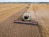 Términos y Condiciones: Las Demandas de Rusia para el Acuerdo de Exportación de Cereales Términos y Condiciones: Las Demandas de Rusia para el Acuerdo de Exportación de Cereales