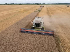 Términos y Condiciones: Las Demandas de Rusia para el Acuerdo de Exportación de Cereales Términos y Condiciones: Las Demandas de Rusia para el Acuerdo de Exportación de Cereales