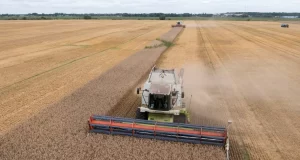 Términos y Condiciones: Las Demandas de Rusia para el Acuerdo de Exportación de Cereales Términos y Condiciones: Las Demandas de Rusia para el Acuerdo de Exportación de Cereales