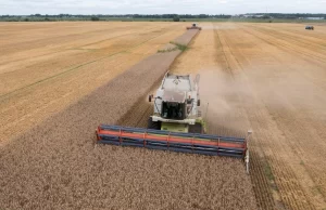 Términos y Condiciones: Las Demandas de Rusia para el Acuerdo de Exportación de Cereales Términos y Condiciones: Las Demandas de Rusia para el Acuerdo de Exportación de Cereales