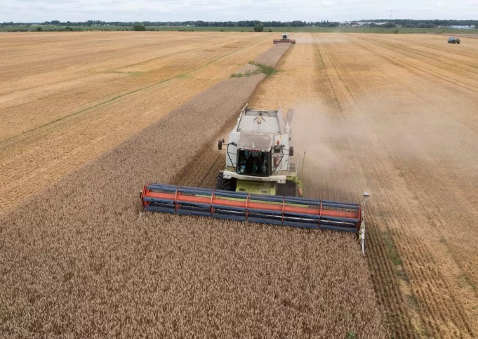 Términos y Condiciones: Las Demandas de Rusia para el Acuerdo de Exportación de Cereales Términos y Condiciones: Las Demandas de Rusia para el Acuerdo de Exportación de Cereales
