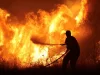 Emergencia ambiental: Incendios en Grecia ponen en peligro el ecosistema nacional Emergencia ambiental: Incendios en Grecia ponen en peligro el ecosistema nacional