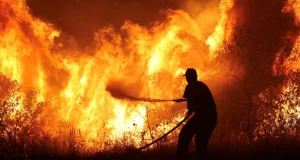 Emergencia ambiental: Incendios en Grecia ponen en peligro el ecosistema nacional Emergencia ambiental: Incendios en Grecia ponen en peligro el ecosistema nacional