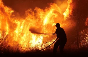 Emergencia ambiental: Incendios en Grecia ponen en peligro el ecosistema nacional Emergencia ambiental: Incendios en Grecia ponen en peligro el ecosistema nacional