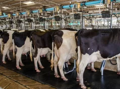 Importante Corporación Alimentaria Anuncia Cese de Operaciones en Colombia: Preocupación en la Industria Ganadera por Situación Crítica Importante Corporación Alimentaria Anuncia Cese de Operaciones en Colombia: Preocupación en la Industria Ganadera por Situación Crítica