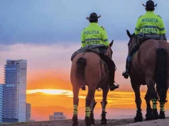 Victoria para los Animales: Prohibición de Caballos y Perros en Manifestaciones en Colombia Victoria para los Animales: Prohibición de Caballos y Perros en Manifestaciones en Colombia