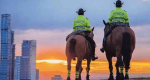 Victoria para los Animales: Prohibición de Caballos y Perros en Manifestaciones en Colombia Victoria para los Animales: Prohibición de Caballos y Perros en Manifestaciones en Colombia