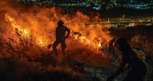 Incendios Forestales en Colombia: Desafíos y Críticas a la Respuesta del Gobierno de Gustavo Petro Incendios Forestales en Colombia