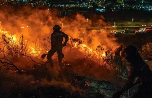 Incendios Forestales en Colombia: Desafíos y Críticas a la Respuesta del Gobierno de Gustavo Petro Incendios Forestales en Colombia