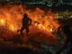 Incendios Forestales en Colombia: Desafíos y Críticas a la Respuesta del Gobierno de Gustavo Petro Incendios Forestales en Colombia