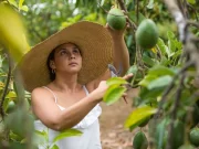 Tibio Crecimiento Económico en Colombia en 2023: Análisis y Perspectivas para 2024 Tibio Crecimiento Económico en Colombia en 2023: Análisis y Perspectivas para 2024