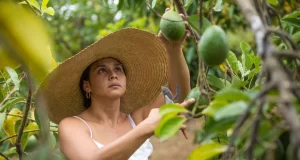 Tibio Crecimiento Económico en Colombia en 2023: Análisis y Perspectivas para 2024 Tibio Crecimiento Económico en Colombia en 2023: Análisis y Perspectivas para 2024