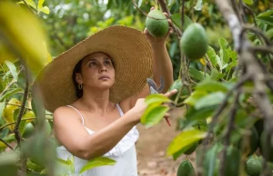 Tibio Crecimiento Económico en Colombia en 2023: Análisis y Perspectivas para 2024 Tibio Crecimiento Económico en Colombia en 2023: Análisis y Perspectivas para 2024