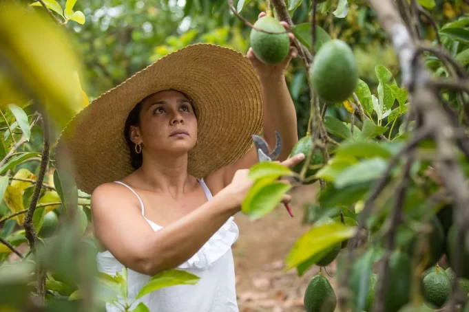 Tibio Crecimiento Económico en Colombia en 2023: Análisis y Perspectivas para 2024 Tibio Crecimiento Económico en Colombia en 2023: Análisis y Perspectivas para 2024