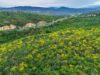 Rechazado el Proyecto Urbanístico ‘Las Lomas’ en Cúcuta por Impacto Ambiental Rechazado el Proyecto Urbanístico 'Las Lomas' en Cúcuta por Impacto Ambiental