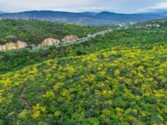Rechazado el Proyecto Urbanístico ‘Las Lomas’ en Cúcuta por Impacto Ambiental Rechazado el Proyecto Urbanístico 'Las Lomas' en Cúcuta por Impacto Ambiental