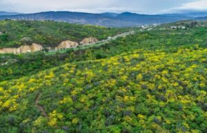 Rechazado el Proyecto Urbanístico ‘Las Lomas’ en Cúcuta por Impacto Ambiental Rechazado el Proyecto Urbanístico 'Las Lomas' en Cúcuta por Impacto Ambiental
