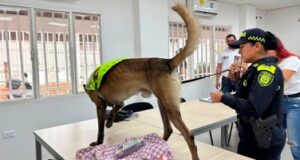 Campañas de Prevención de Delitos en Centros Educativos de Cúcuta Benefician a Miles de Estudiantes