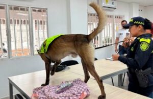 Campañas de Prevención de Delitos en Centros Educativos de Cúcuta Benefician a Miles de Estudiantes