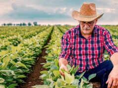 Leve Recuperación del PIB en Colombia en Mayo Impulsada por Agro y Gasto Público