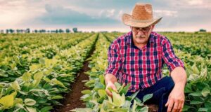 Leve Recuperación del PIB en Colombia en Mayo Impulsada por Agro y Gasto Público