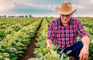 Leve Recuperación del PIB en Colombia en Mayo Impulsada por Agro y Gasto Público