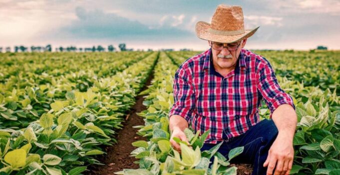 Leve Recuperación del PIB en Colombia en Mayo Impulsada por Agro y Gasto Público